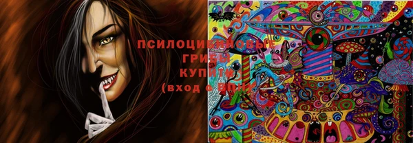 тгк Зерноград