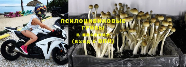 кокс Каменногорск